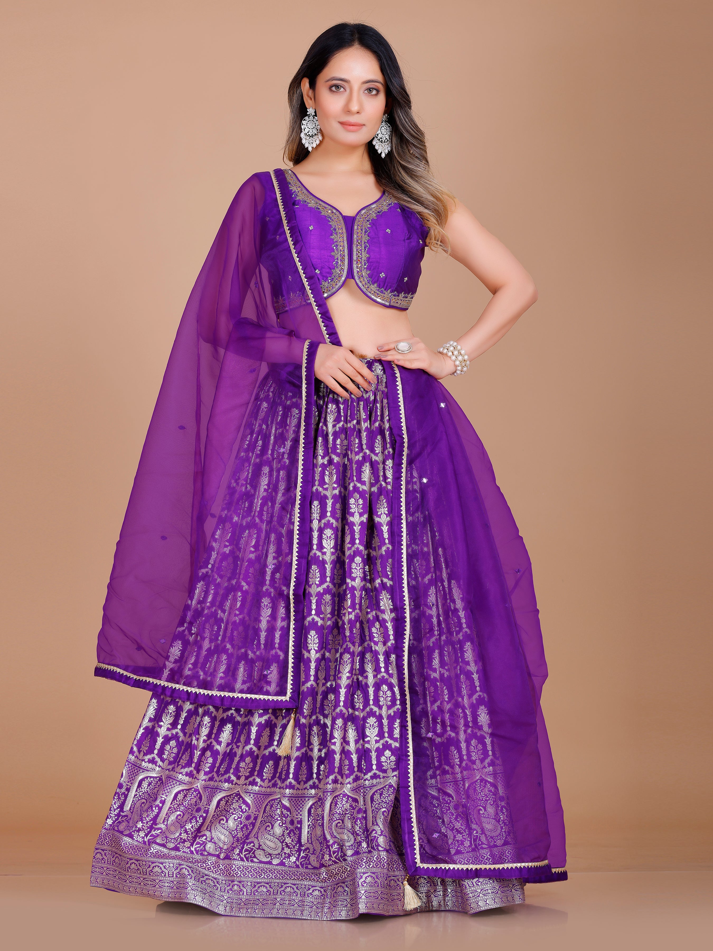 Nisha Lehenga Choli