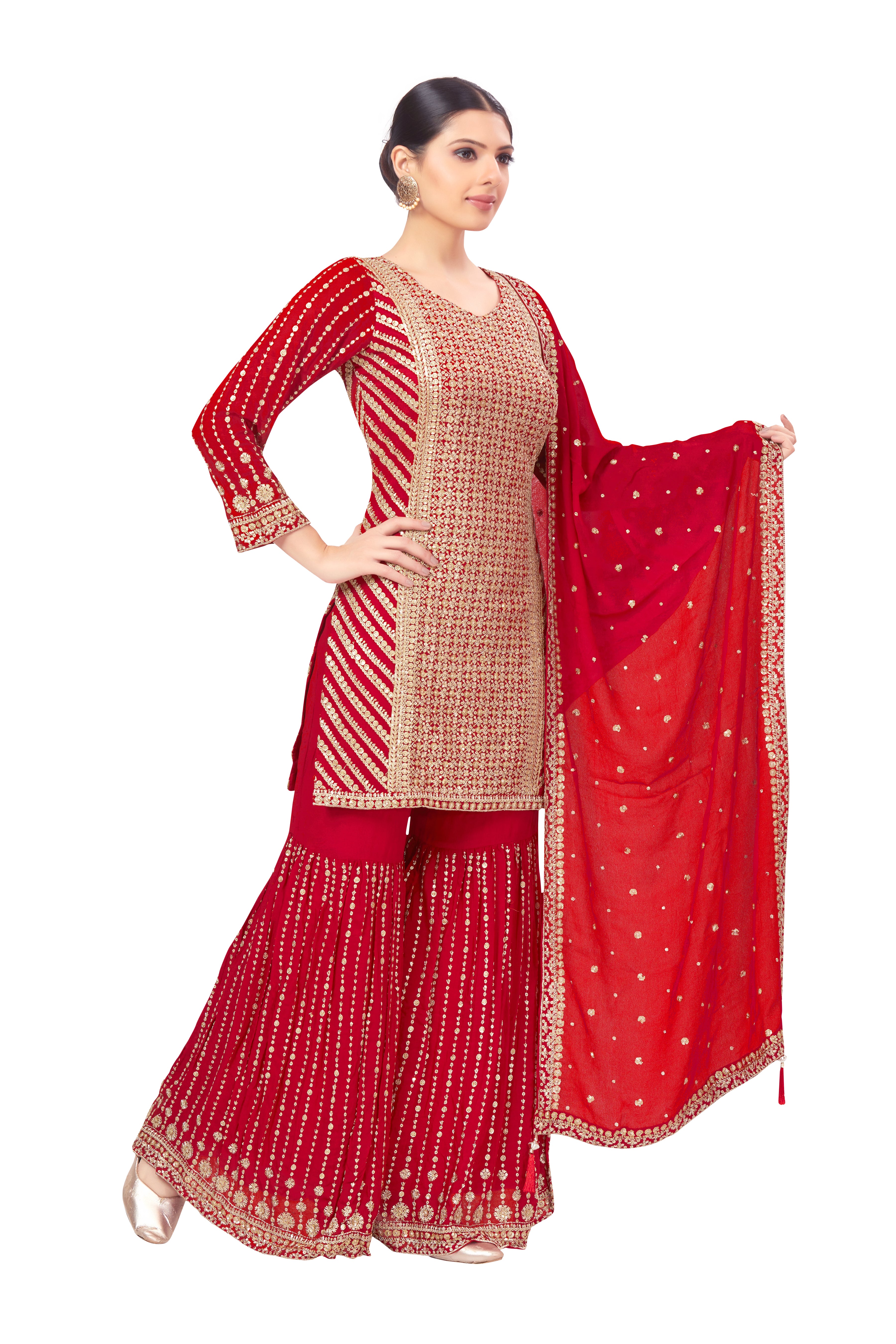 Anokhi Sharara Suit - Roop Darshan