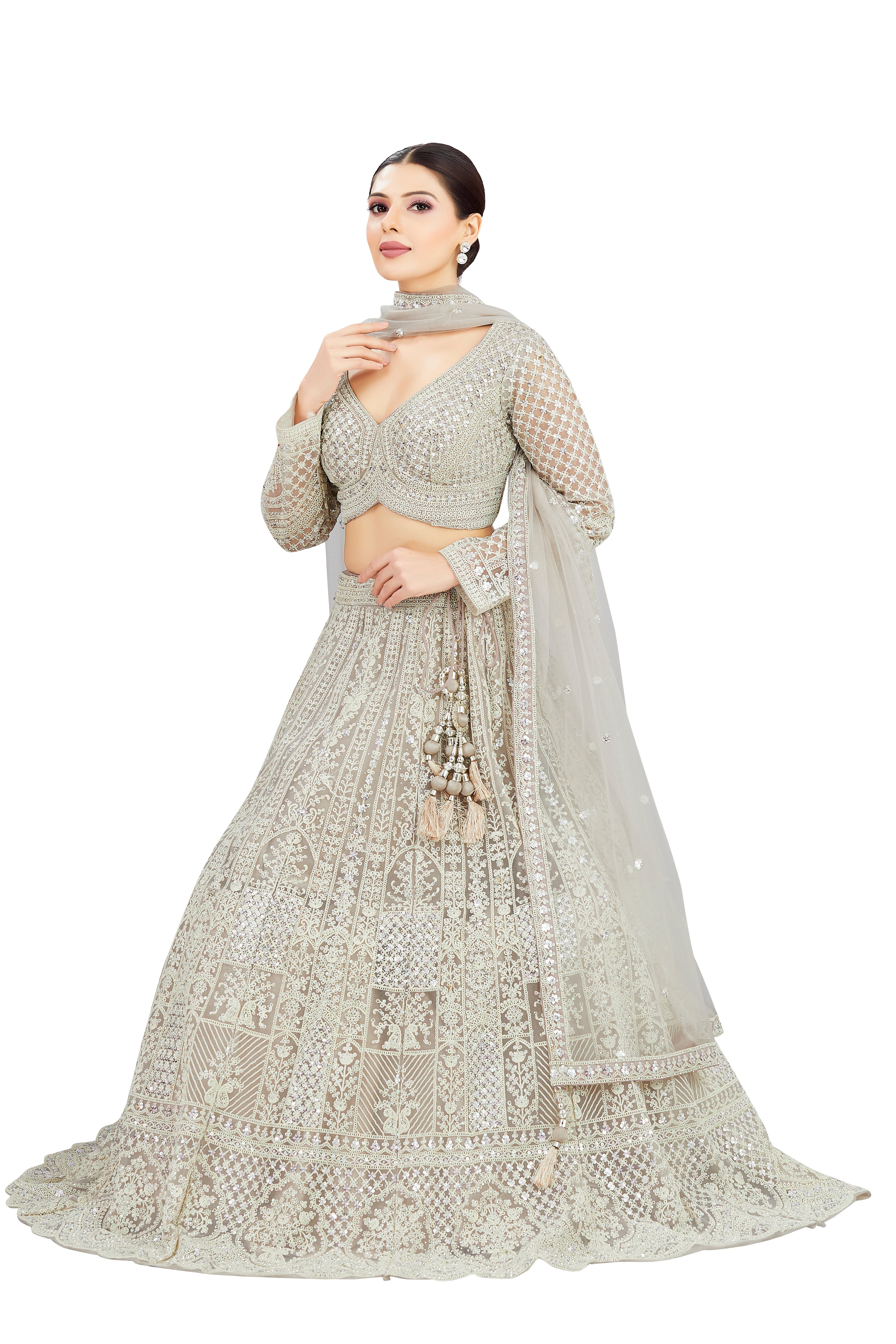 Anima Lehenga Choli - Roop Darshan