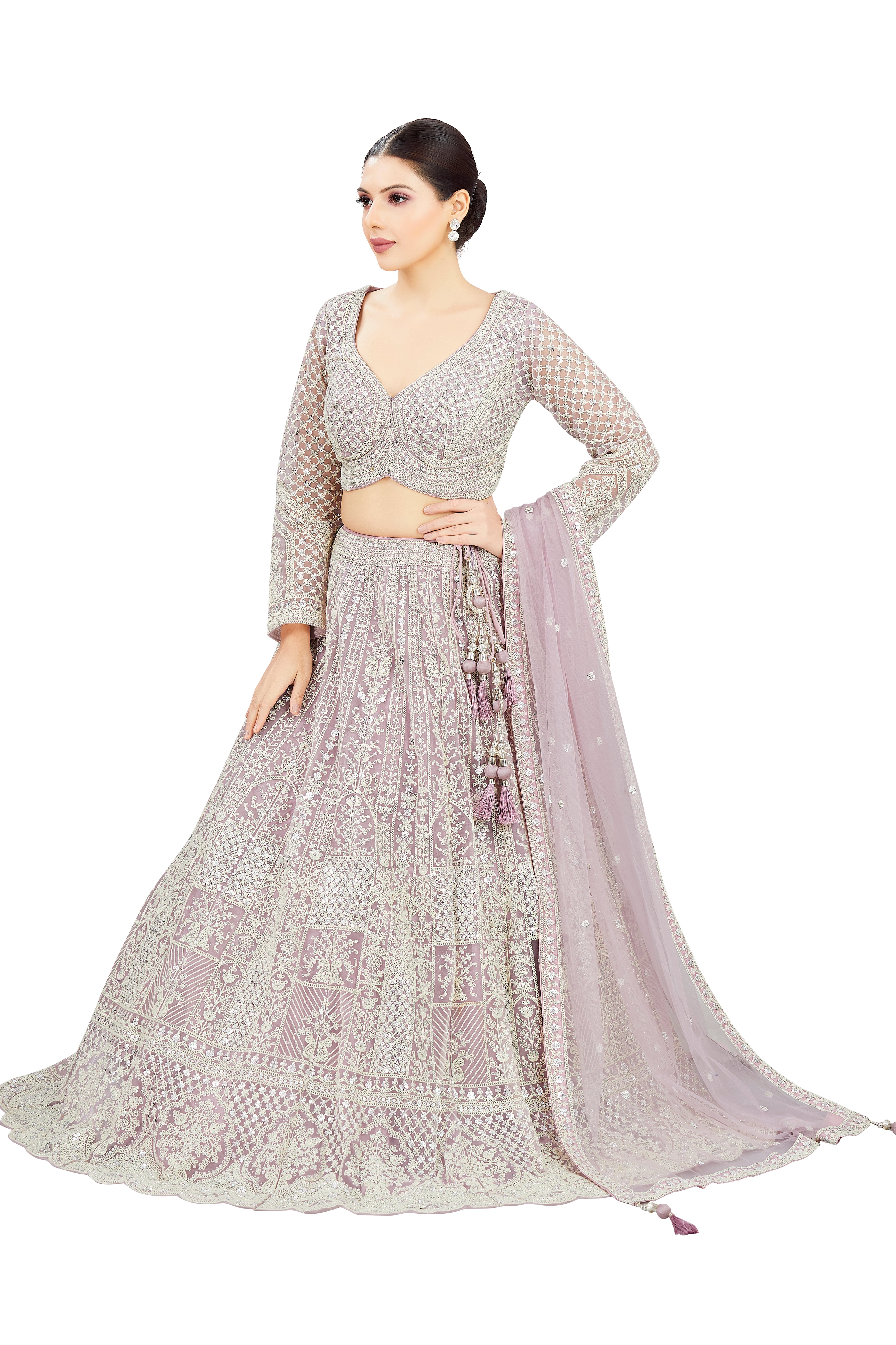 Anima Lehenga Choli - Roop Darshan