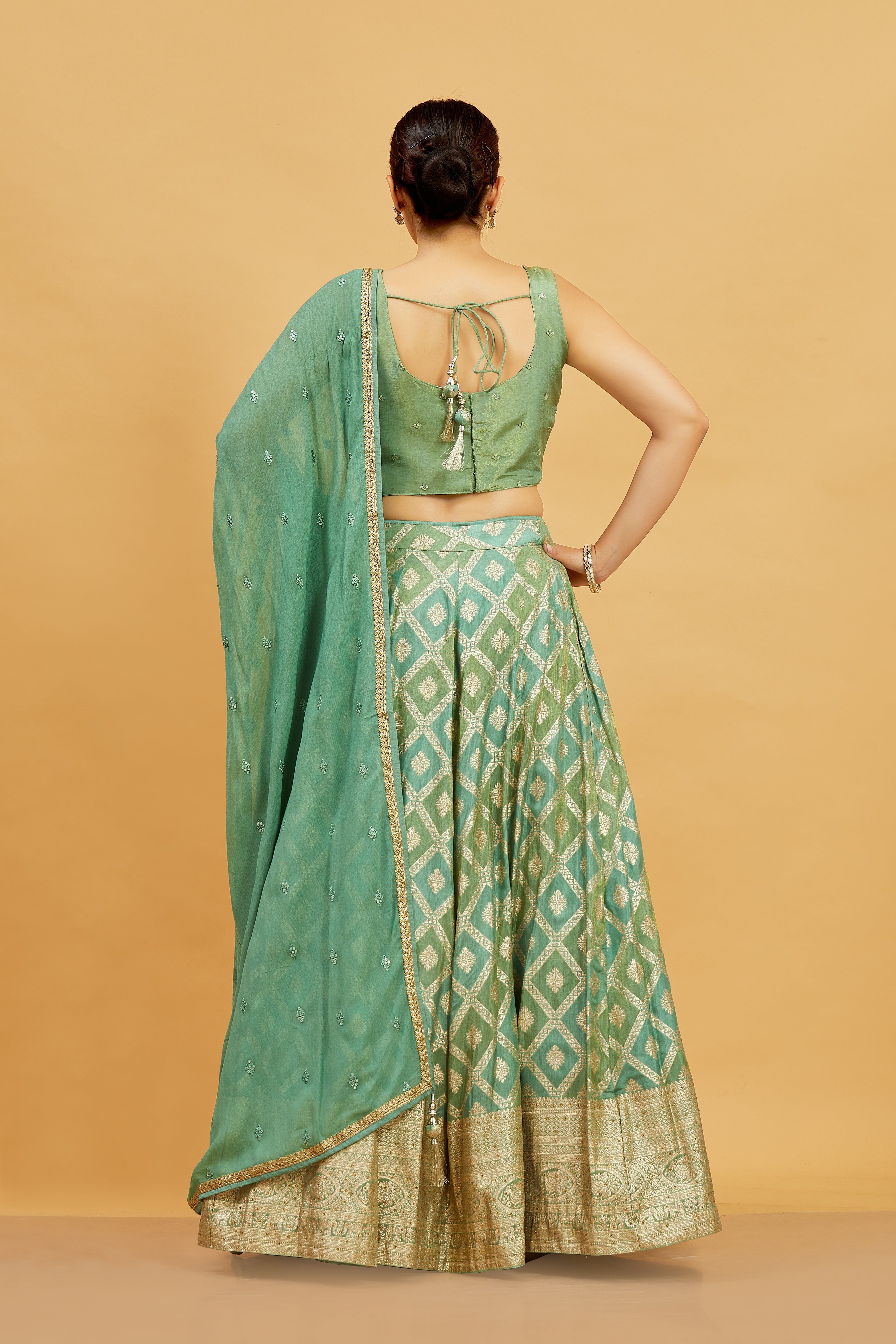 Jenika Lehenga Choli