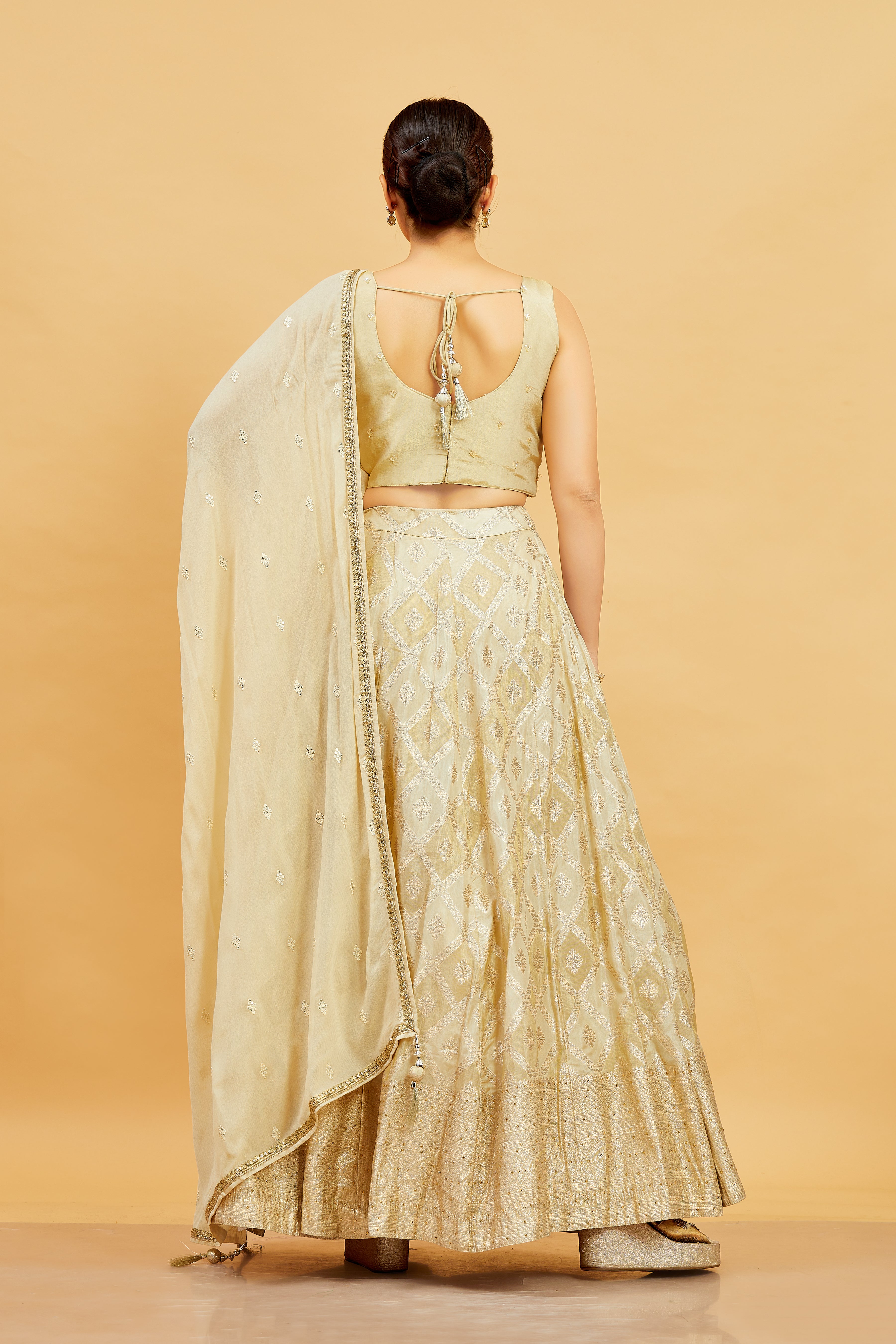 Jenika Lehenga Choli