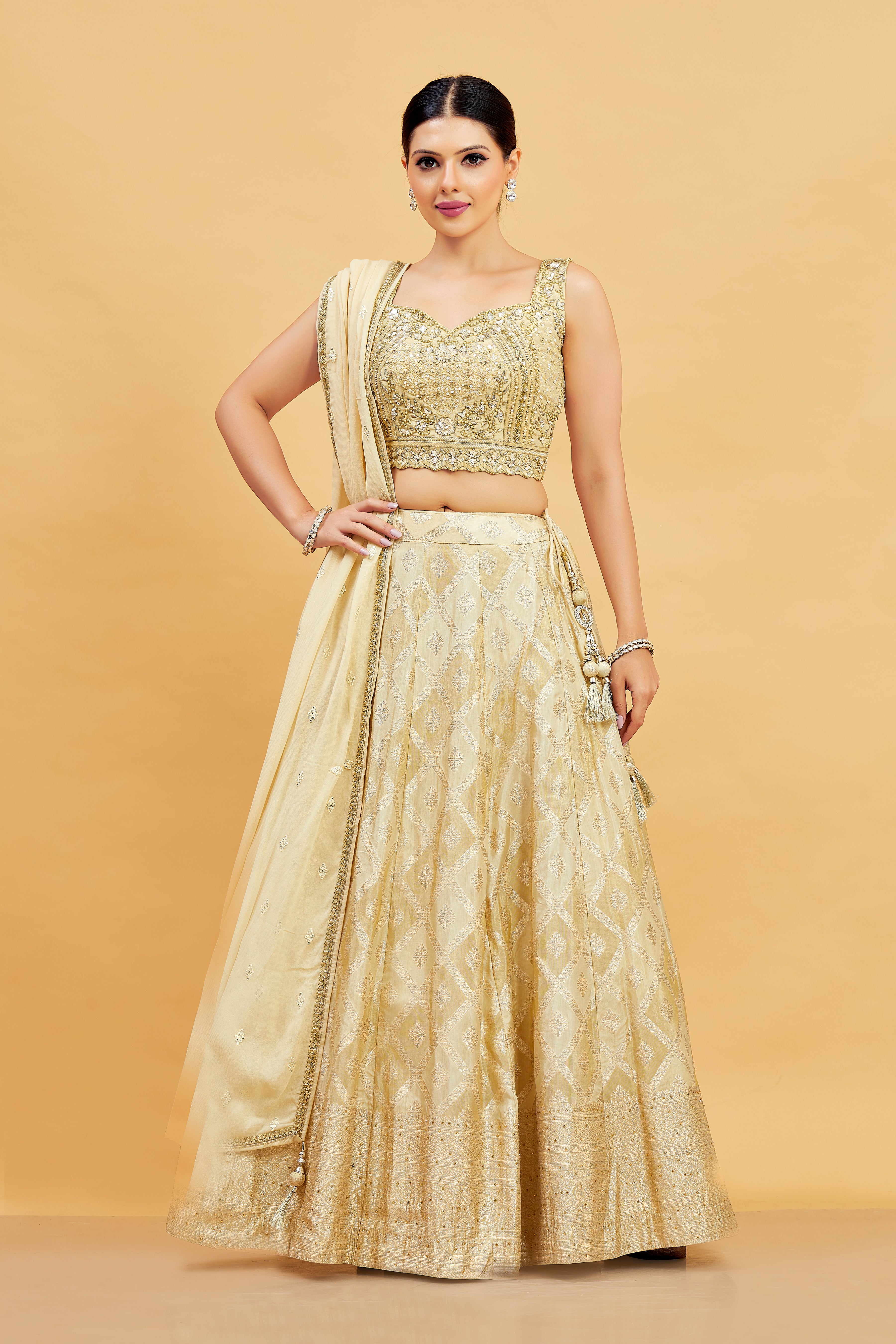 Jenika Lehenga Choli