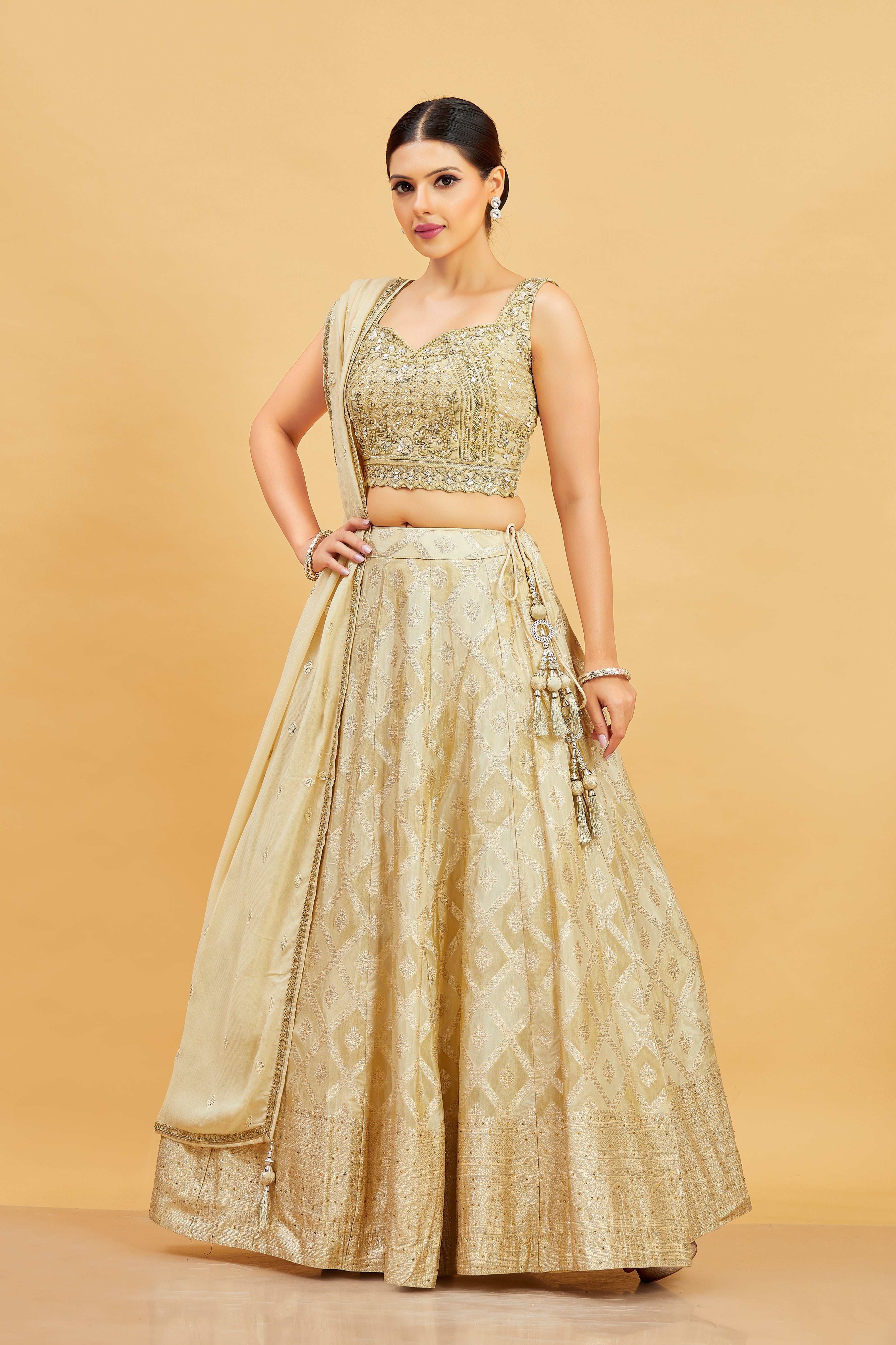 Jenika Lehenga Choli