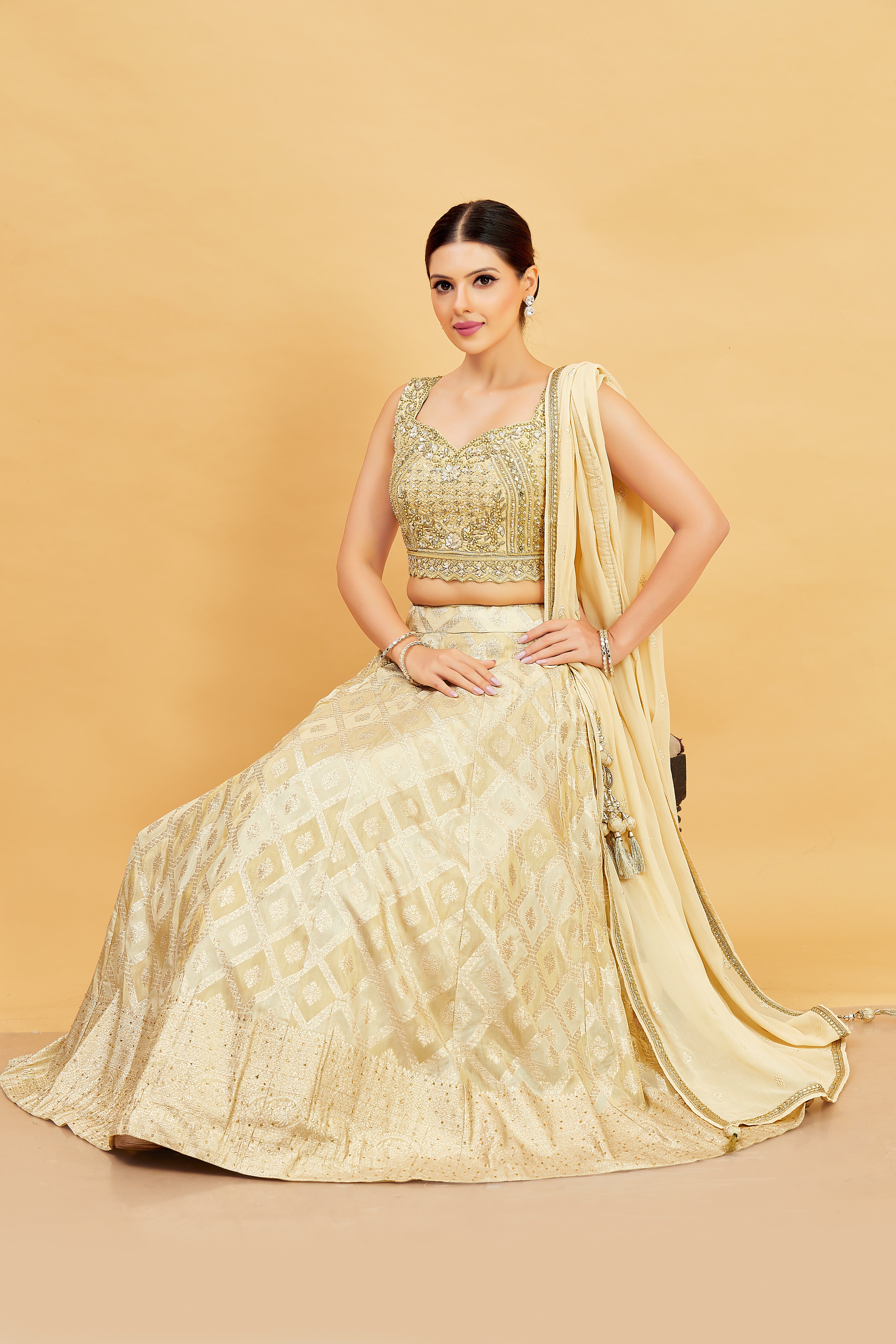 Jenika Lehenga Choli