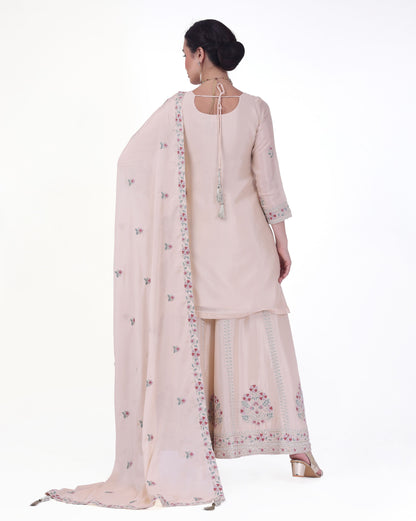Pranita Palazzo Suit