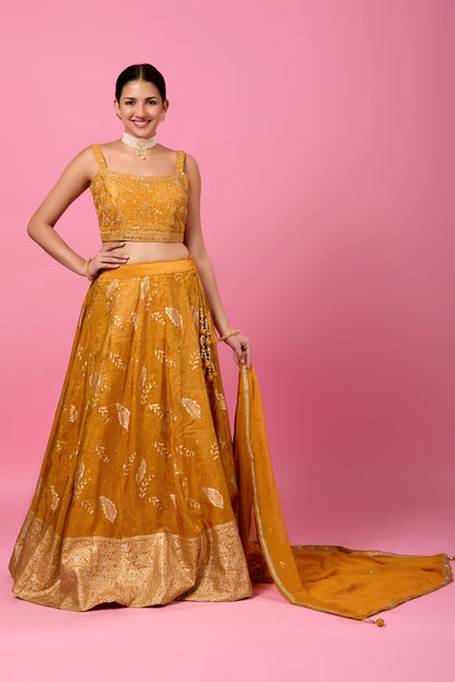 Kanika Lehenga Choli - Roop Darshan