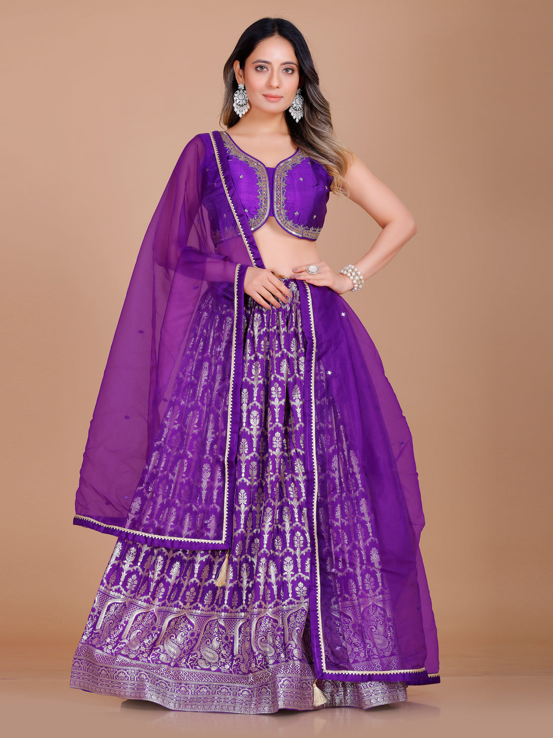 Nisha Lehenga Choli