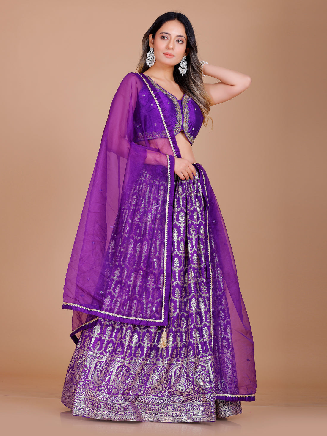 Nisha Lehenga Choli