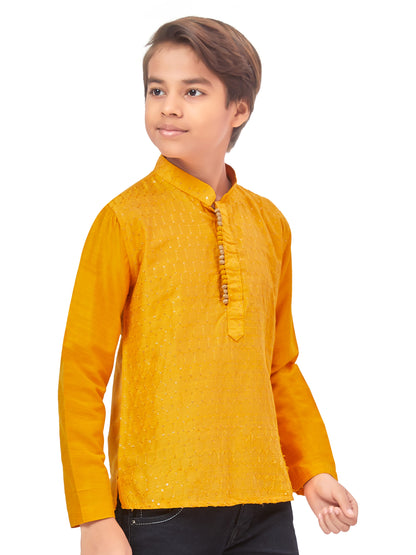 Boys Embroidered Kurta - Roop Darshan