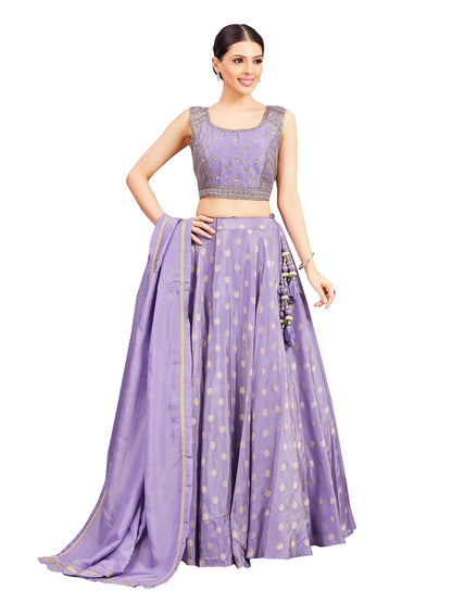 Neeta Lehenga Choli - Roop Darshan