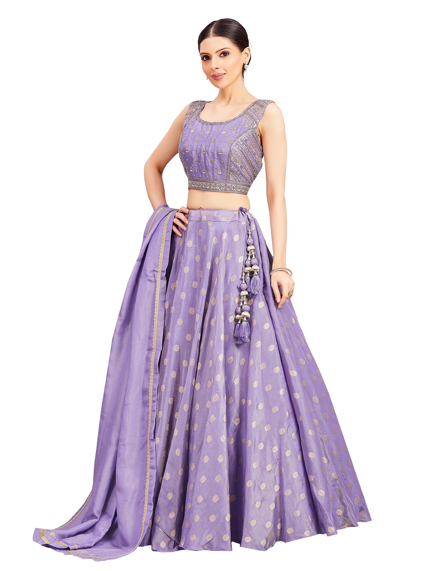 Neeta Lehenga Choli - Roop Darshan