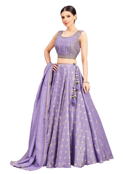 Neeta Lehenga Choli - Roop Darshan