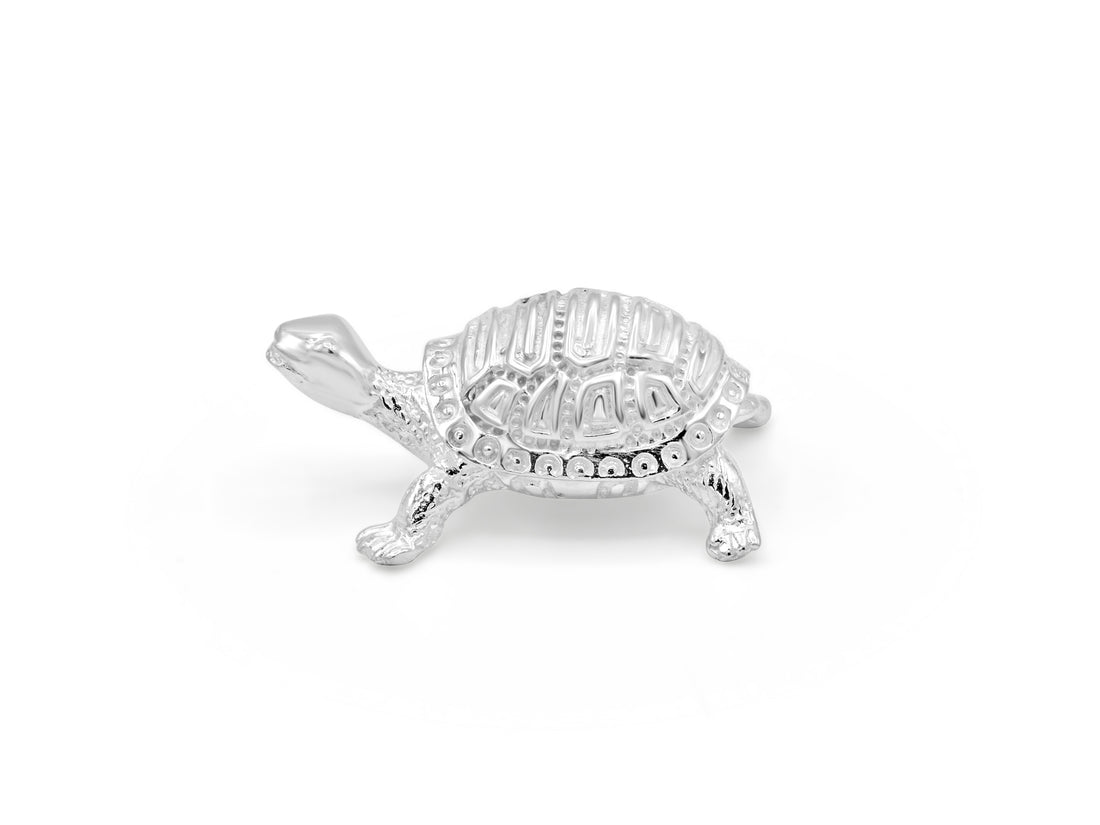 Silver Turtle - Roop Darshan