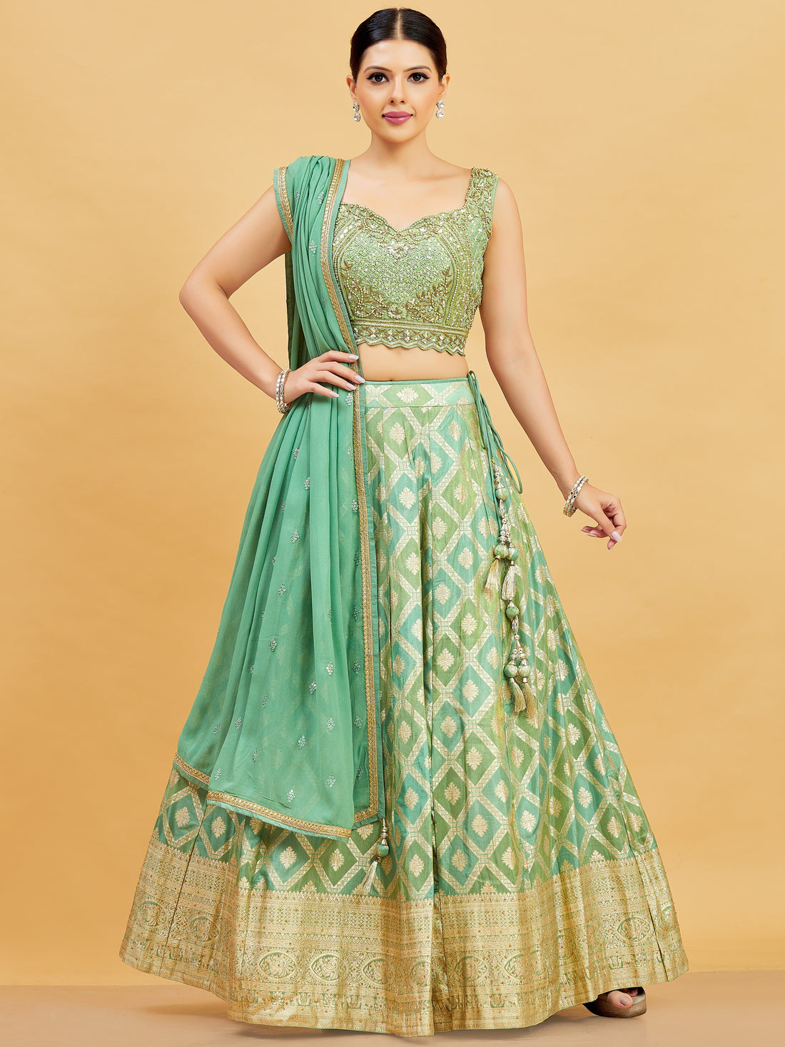 Jenika Lehenga Choli