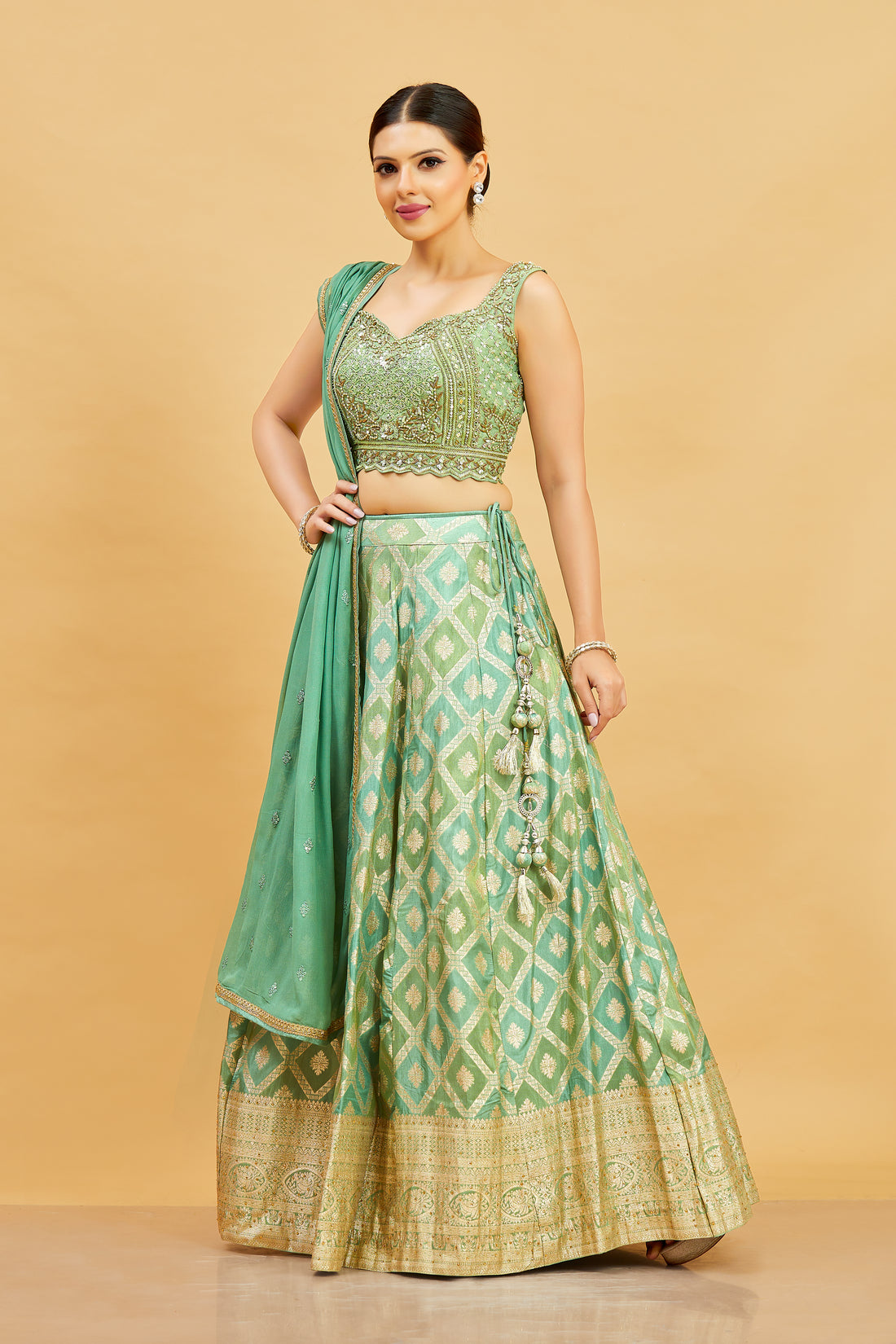 Jenika Lehenga Choli