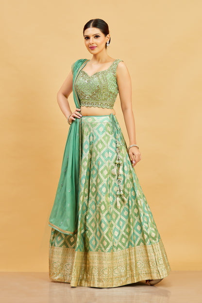 Jenika Lehenga Choli