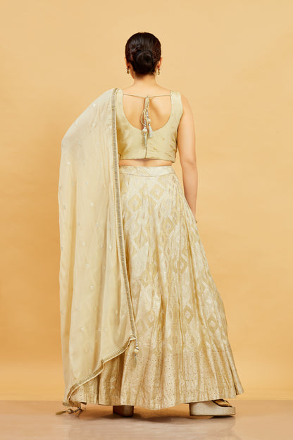 Jenika Lehenga Choli