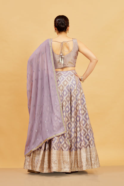 Jenika Lehenga Choli