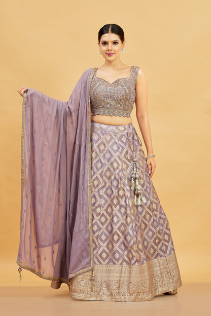 Jenika Lehenga Choli