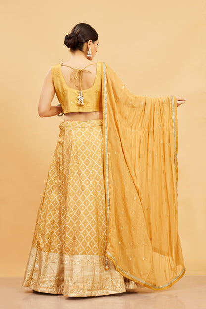 Mahika Lehenga Choli