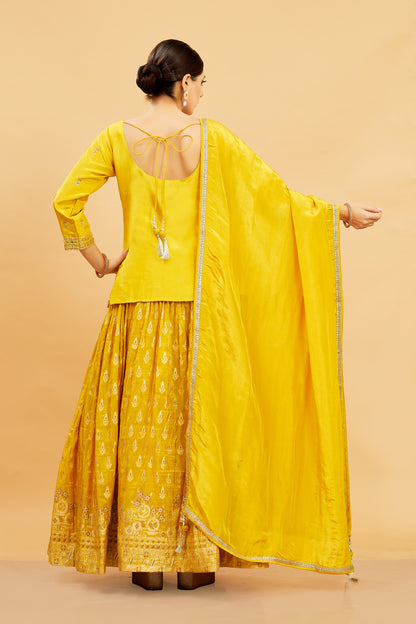 Emi Long Top Lehenga - Roop Darshan