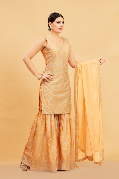 Riya Sharara Suit - Roop Darshan