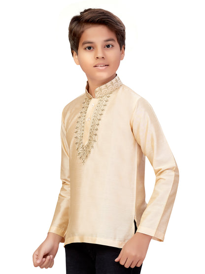 Boys Embroidered Kurti - Roop Darshan